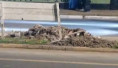Goya: un motociclista falleció tras chocar un montículo de tierra